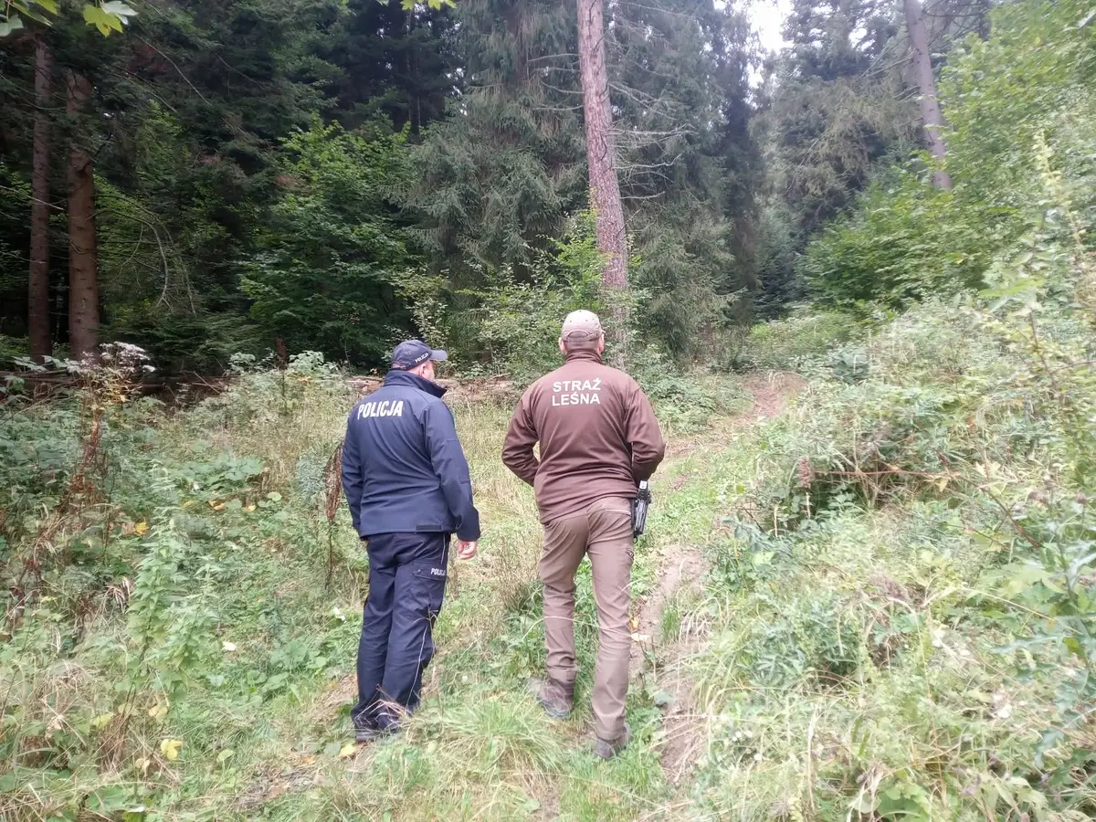 Wspólne działania policji i Straży Leśnej na rzecz bezpieczeństwa w lasach