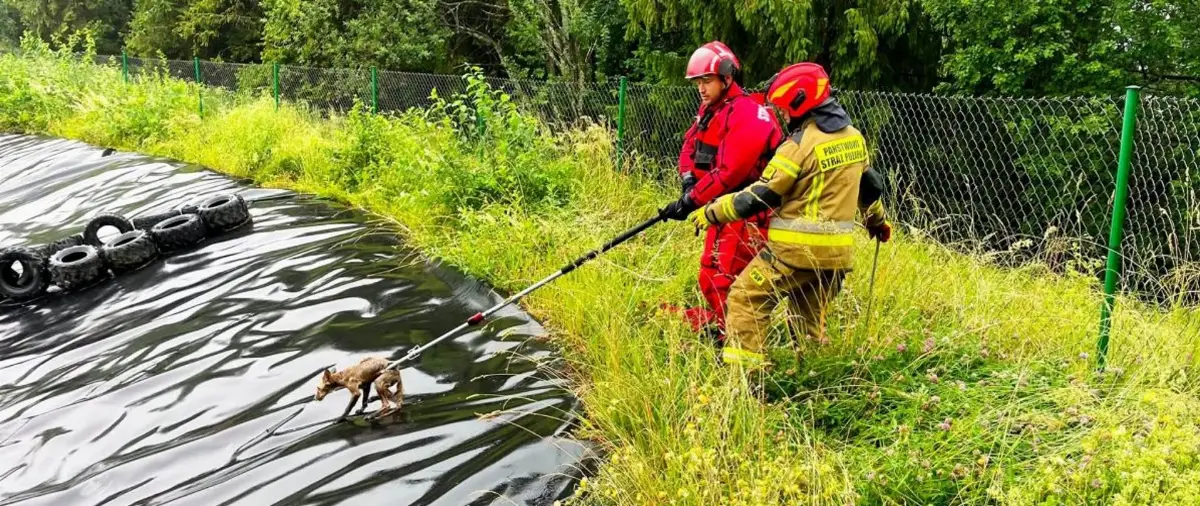 Interwencja strażaków na stoku wyciągu Gromadzyń