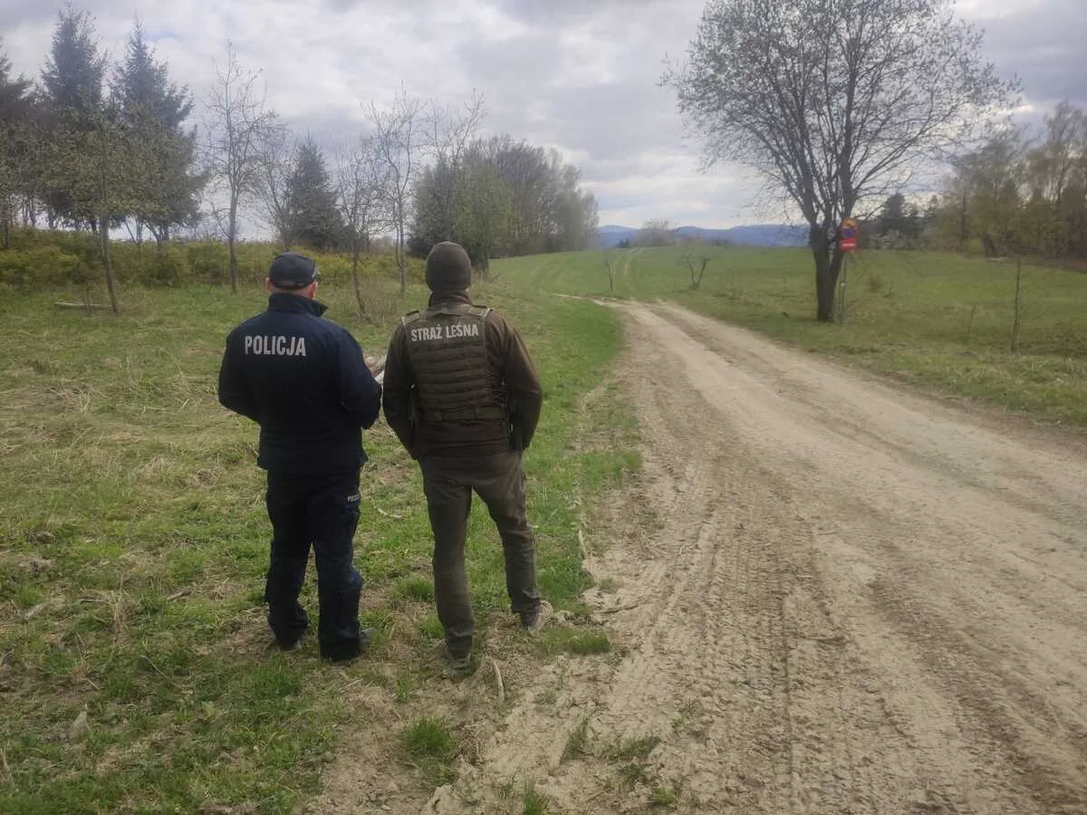 Wspólne działania Policji i Straży Leśnej wobec użytkowników crossów i quadów
